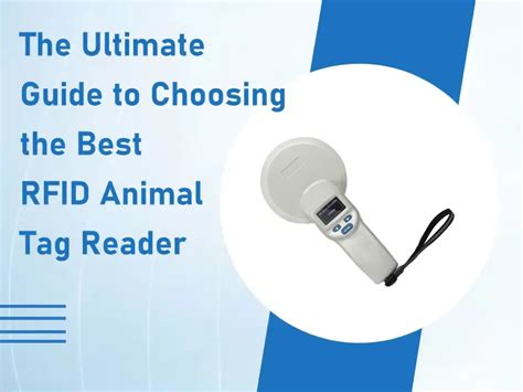 Choosing RFID Dog Tags: A Comprehensive Guide to Their